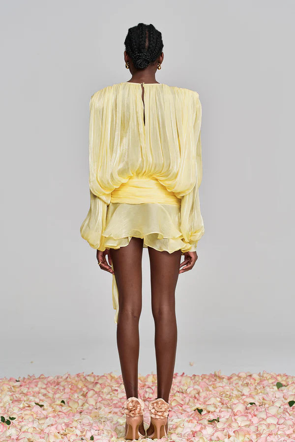 Aliyah Balloon Sleeve Ruffle Mini Dress